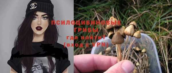 ешки Белокуриха