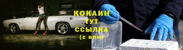 ешки Белокуриха
