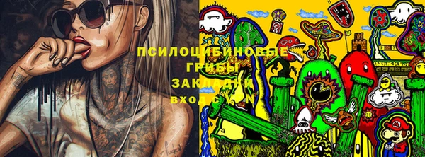 амф Белоозёрский