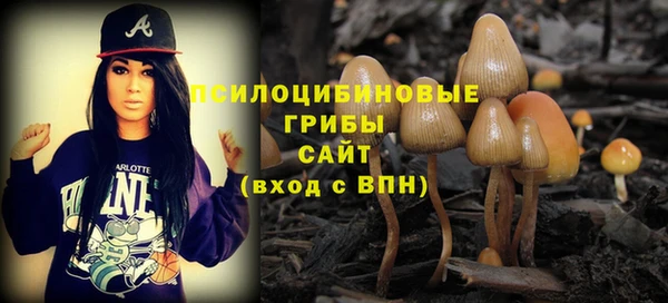 амф Белоозёрский
